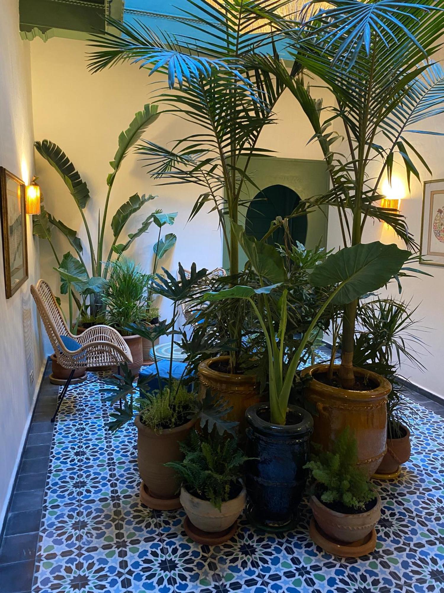 酒店 Le Palazzo 索维拉